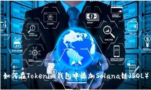 如何在Tokenim钱包中添加Solana链（SOL）