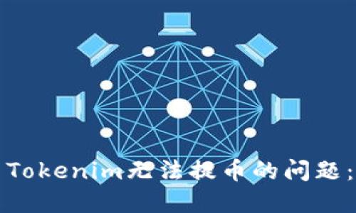 如何解决Tokenim无法提币的问题：全面指南