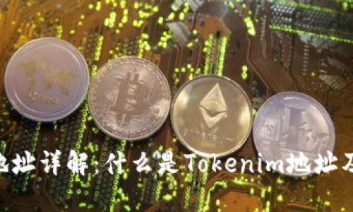 Tokenim地址详解：什么是Tokenim地址及其重要性
