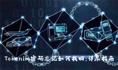 Tokenim密码忘记如何找回：详尽指南