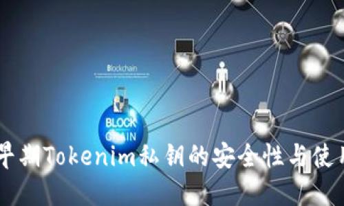 了解早期Tokenim私钥的安全性与使用方法