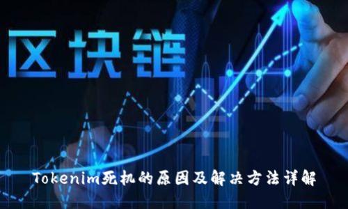 Tokenim死机的原因及解决方法详解