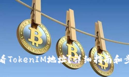 如何查看TokenIM地址？详细指南和步骤解析
