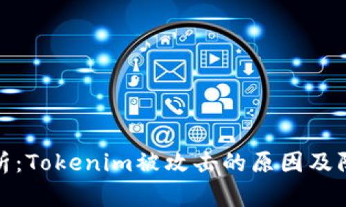 深入分析：Tokenim被攻击的原因及防护措施