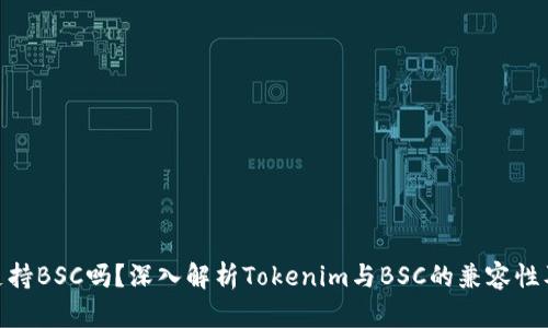 Tokenim支持BSC吗？深入解析Tokenim与BSC的兼容性及应用潜力