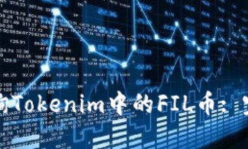 如何查询Tokenim中的FIL币: 完全指南