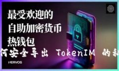如何安全导出 TokenIM 的私