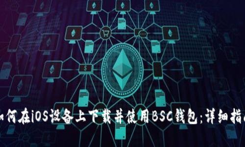 如何在iOS设备上下载并使用BSC钱包：详细指南