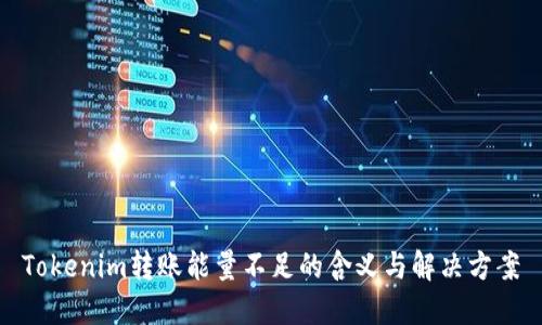 Tokenim转账能量不足的含义与解决方案