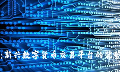 VV币交易所：新兴数字货币交易平台的优势与风险分析