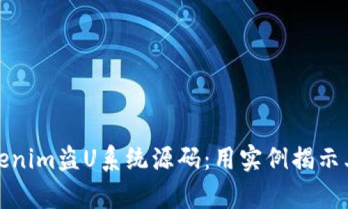 深入解析Tokenim盗U系统源码：用实例揭示其机制与风险