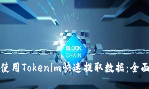 如何使用Tokenim快速提取数据：全面指南