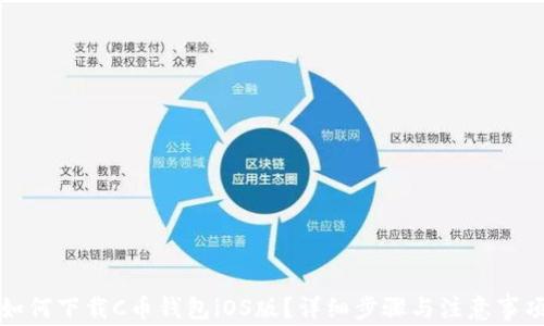 
如何下载C币钱包iOS版？详细步骤与注意事项