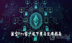 波宝Pro客户端下载与使用