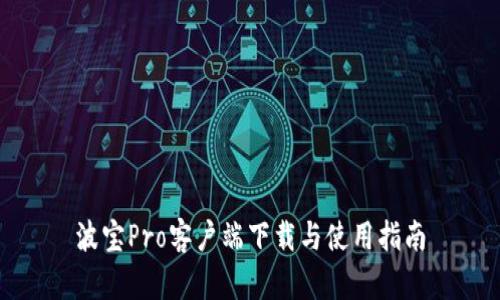 波宝Pro客户端下载与使用指南