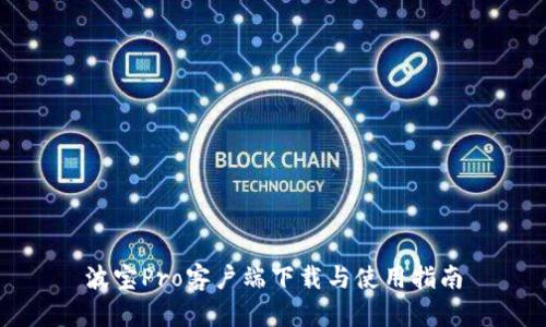 波宝Pro客户端下载与使用指南
