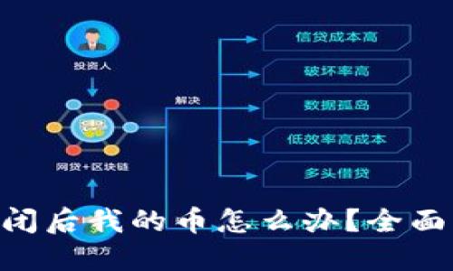 Tokenim公司倒闭后我的币怎么办？全面解答与应对策略