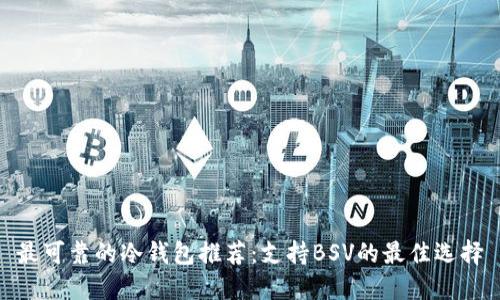 最可靠的冷钱包推荐：支持BSV的最佳选择