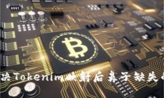 如何解决Tokenim映射后鼻子缺失的问题？