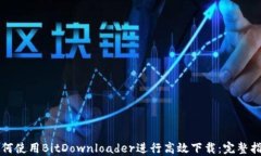 如何使用BitDownloader进行高