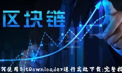 
如何使用BitDownloader进行高效下载：完整指南