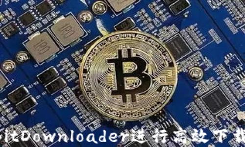 
如何使用BitDownloader进行高效下载：完整指南
