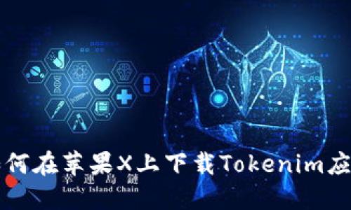 如何在苹果X上下载Tokenim应用