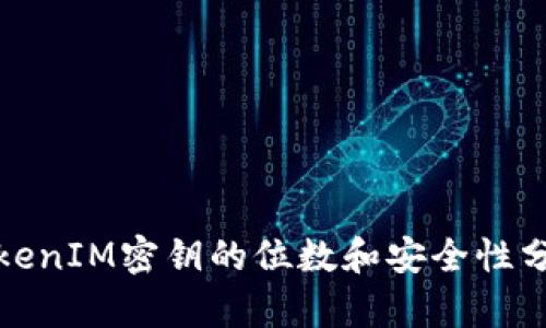 TokenIM密钥的位数和安全性分析