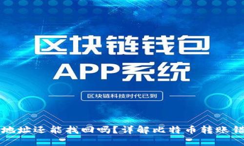 冷钱包转错地址还能找回吗？详解比特币转账错误处理方法