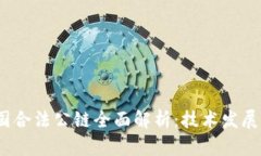 2023年中国合法公链全面解析：技术发展与政策趋