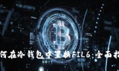 如何在冷钱包中置换FIL6：全面指南