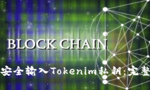 如何安全输入Tokenim私钥：完整指南