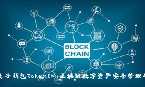 深入了解麦子钱包TokenIM：区块链数字资产安全管理的最佳选择