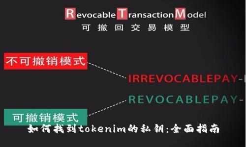 如何找到tokenim的私钥：全面指南