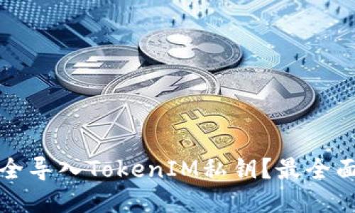 如何安全导入TokenIM私钥？最全面的指南
