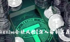 优质为什么Tokenim会被风控？深入解析