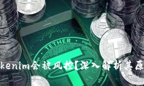 优质为什么Tokenim会被风控？深入解析其原因及应对措施