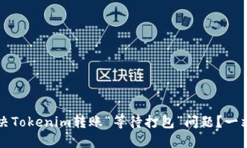 如何解决Tokenim转账“等待打包”问题？一站式指南