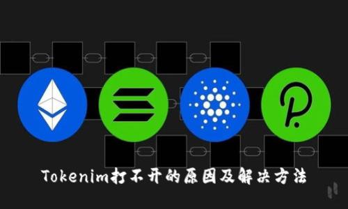 Tokenim打不开的原因及解决方法
