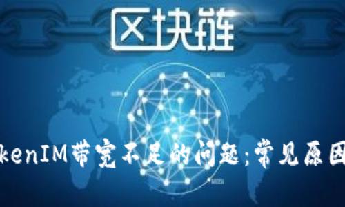 如何解决TokenIM带宽不足的问题：常见原因与解决方案