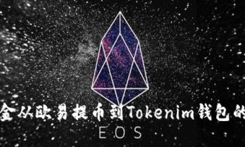 如何将资金从欧易提币到Tokenim钱包的详细指南