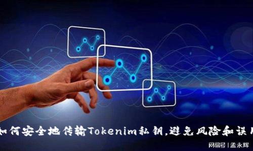 如何安全地传输Tokenim私钥，避免风险和误用