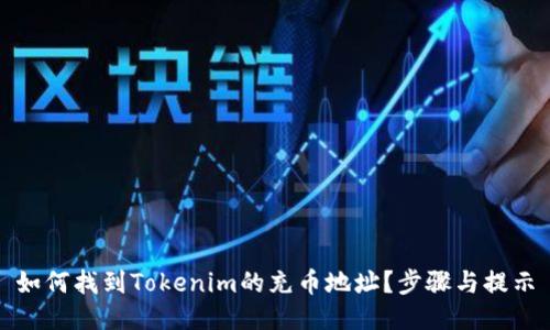 如何找到Tokenim的充币地址？步骤与提示