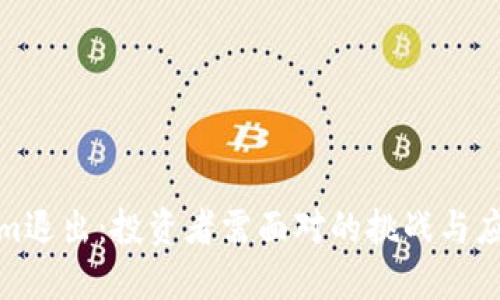 Tokenim退出：投资者需面对的挑战与应对策略