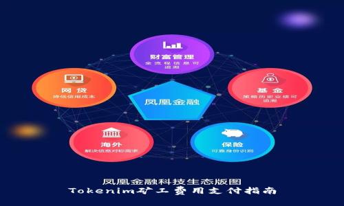 Tokenim矿工费用支付指南